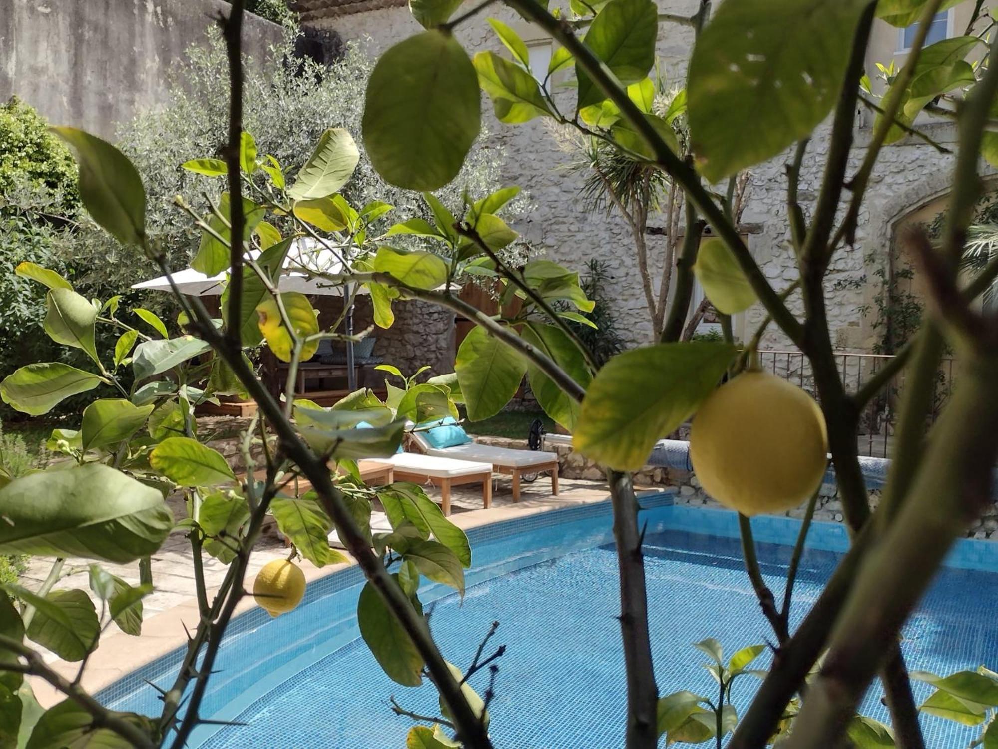 La Maison Des Autres, Piscine Chauffee, Chambres D'Hotes Proches Uzes, Nimes, Pont Du Gard Saint-Genies-de-Malgoires Экстерьер фото