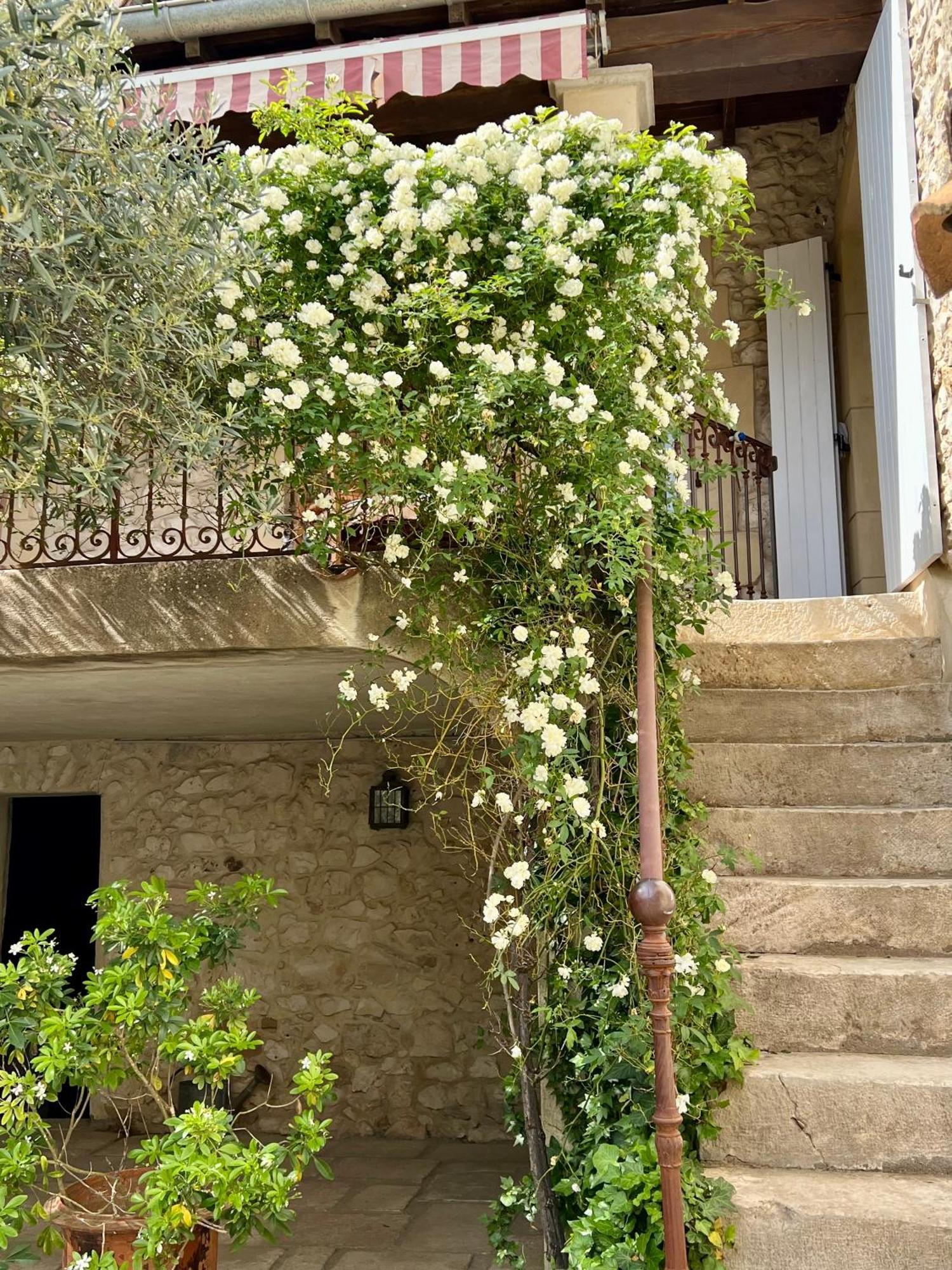La Maison Des Autres, Piscine Chauffee, Chambres D'Hotes Proches Uzes, Nimes, Pont Du Gard Saint-Genies-de-Malgoires Экстерьер фото